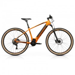 Ridon 07 - Tigre Orange
