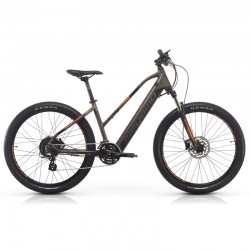 Kinetic One - Marron