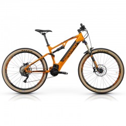 Ridon FS - Tigre Orange